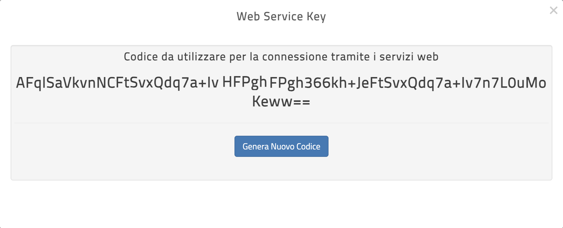 Schermata con il codice API Key (WSKey) da copiare
